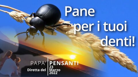 Pane per i tuoi denti!
