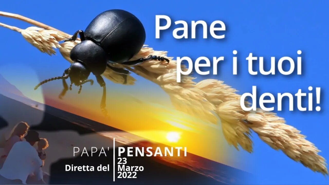 Pane per i tuoi denti!