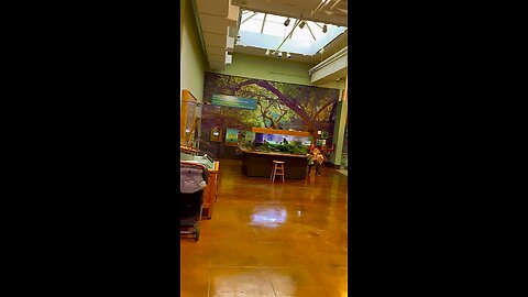 Regarde les historiens de la muséum Sandiego calinia
