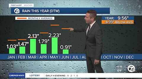 Metro Detroit experiencing moderate drought with average rainfall down about 5" this year