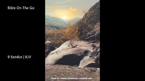 Exodus 9 | KJV