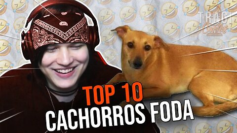 🤣 ATÉ O DOGUINHO JOGA MELHOR QUE AS MUIÉ 🤣