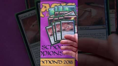 My Modern Seismic Swans Deck