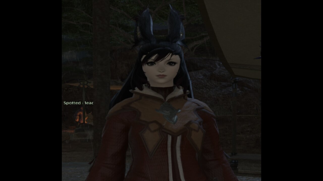 Ms Naerdiel plays FFXIV part 2