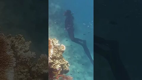 The best coral we have EVER seen!