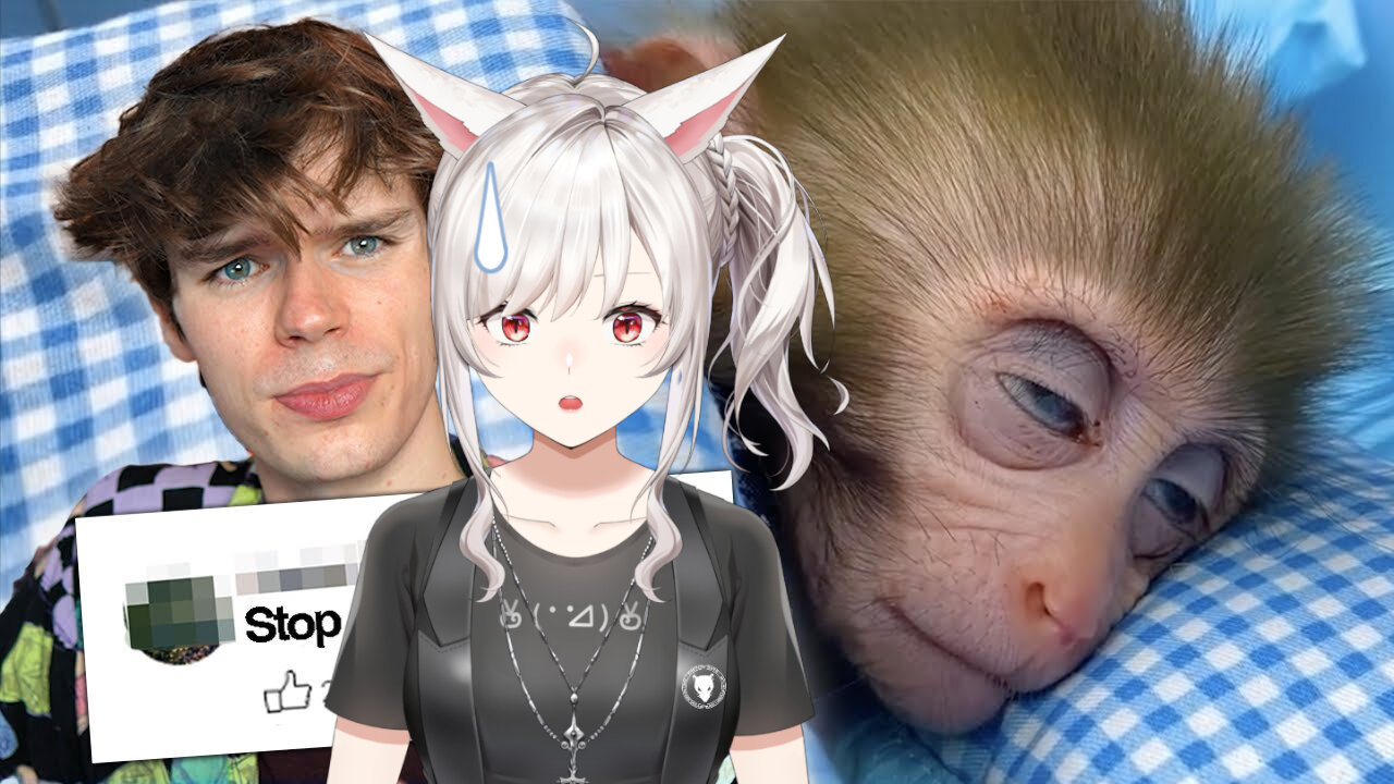 Animal Abuse Is Taking Over YouTube || Soggy Cereal react