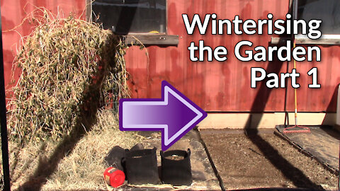 Winterising the Garden: Part 1