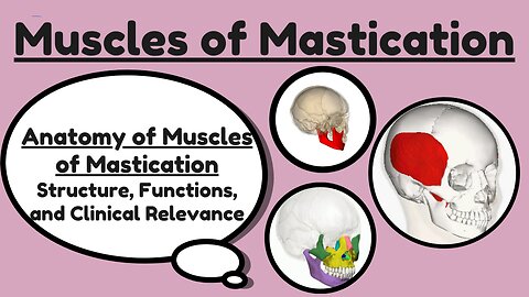 Anatomy of Muscles of Mastication | Origin, Insertion, Innervation & Function | Novice Medic