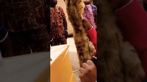 #subscribe #entertainment #viral #reels #traditional #event #nigeria #subscribe @DabelzShow