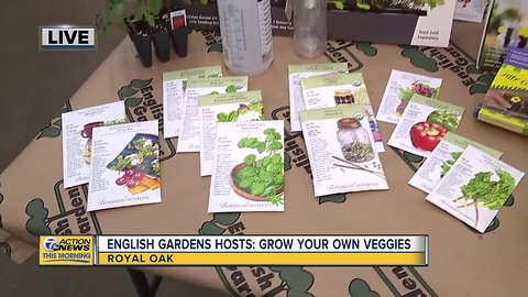 Grow Your Own Veggies