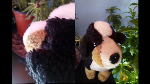 🔴The most beautiful time I spend with my dog🐕