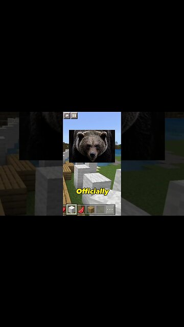 Brown Bears in Boxing?