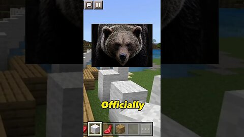 Brown Bears in Boxing?