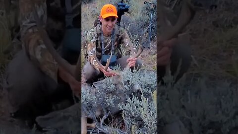 Wyoming Mule Deer Hunt