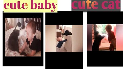 Cutee baby cute cat most sence