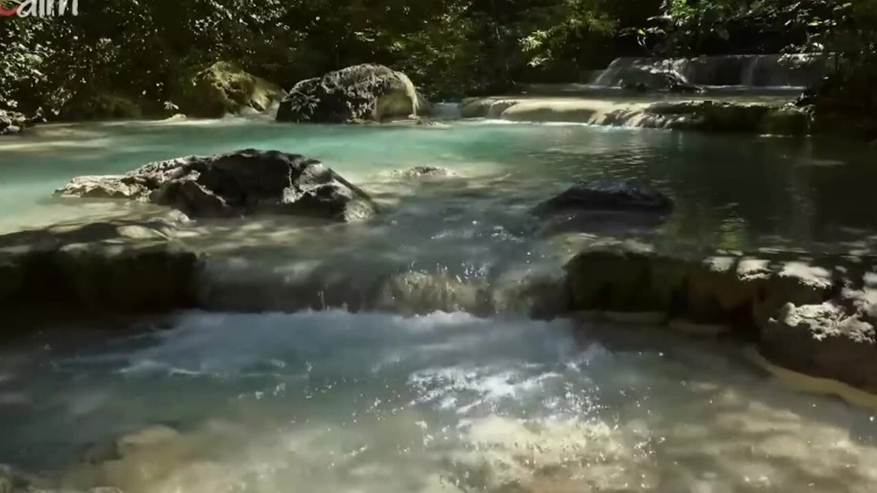 music to reduce anxiety