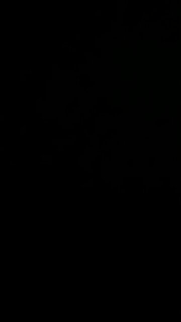 Diversity Inclusion and Equity