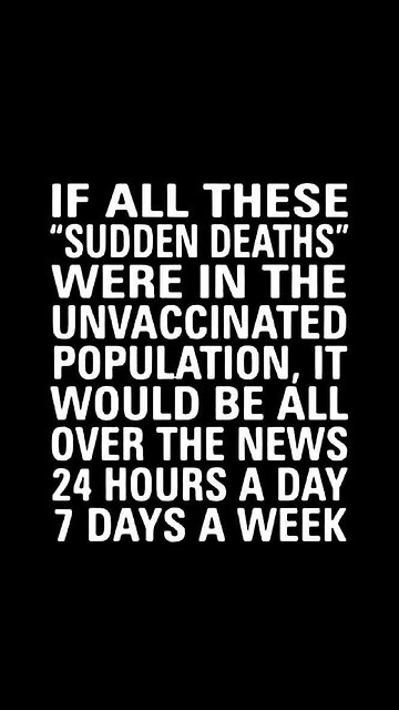 Orbs 🤷‍🤷‍♀️🤷‍♀️