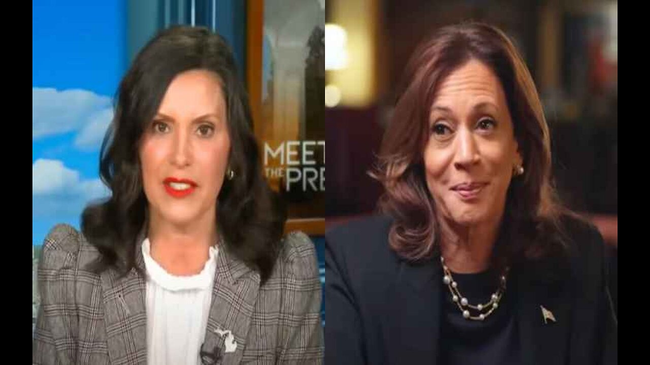 Watch Whitmer Baffles Critics of Harris’s Price Gouging Plan With Three Words