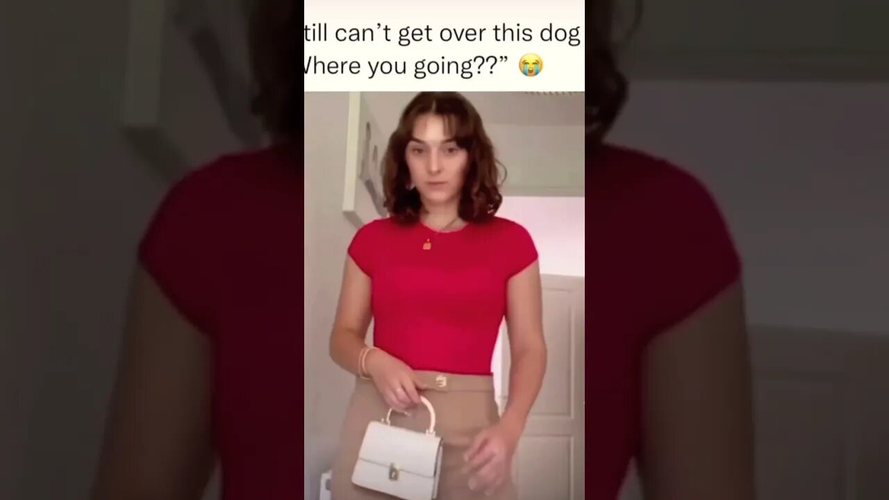 The dad dog 😳 (omg the dog can talk) #shorts #viral #subscribe #funny #youtubeshorts
