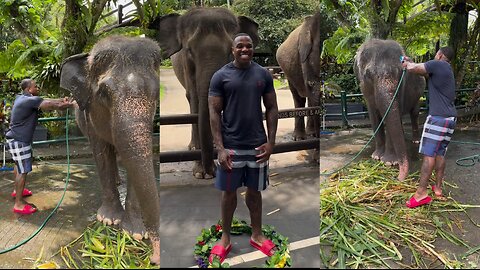 Bandman Kevo: The Silent Hustle with Elephant Interaction