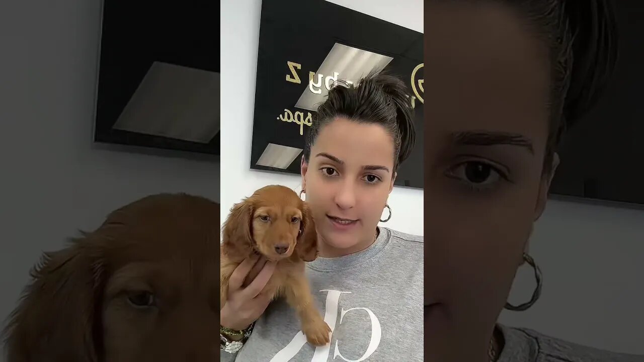 Cute Dog child #petvideos #funnyvideo