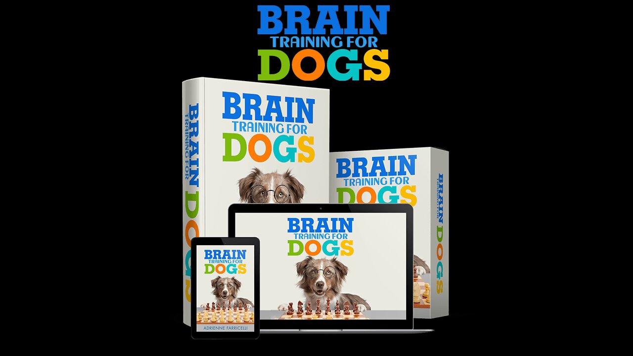 How to train your dog not to bark? || Not to bite, house training a dog