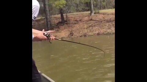 Understanding Big Bass - How to Catch a Trophy Largemouth