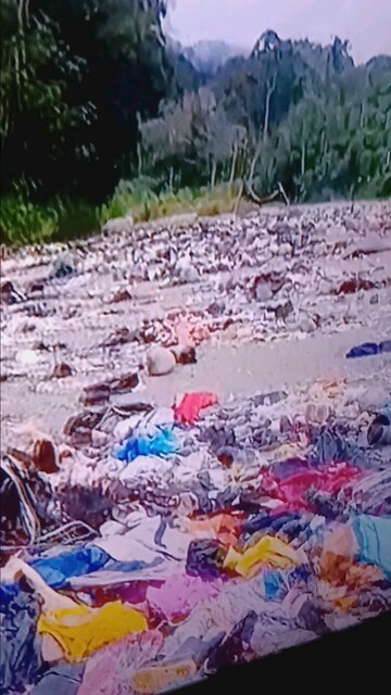 ENVIRORMENT DESTRUCTION BY ILLEGAL ANTS HEADED HERE