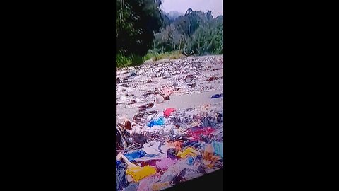 ENVIRORMENT DESTRUCTION BY ILLEGAL ANTS HEADED HERE