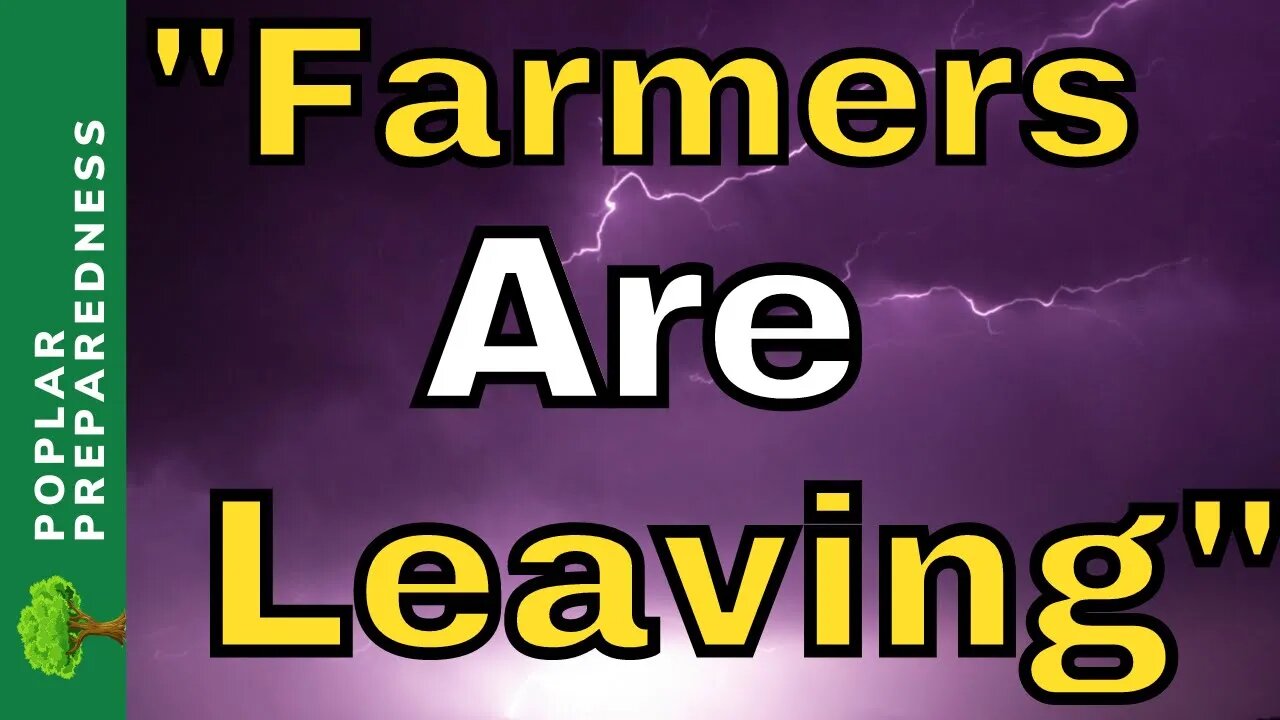 The Hen & Egg Industry | Large Shortages By December