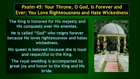 Video Bible Study: The Book of Psalms - #027