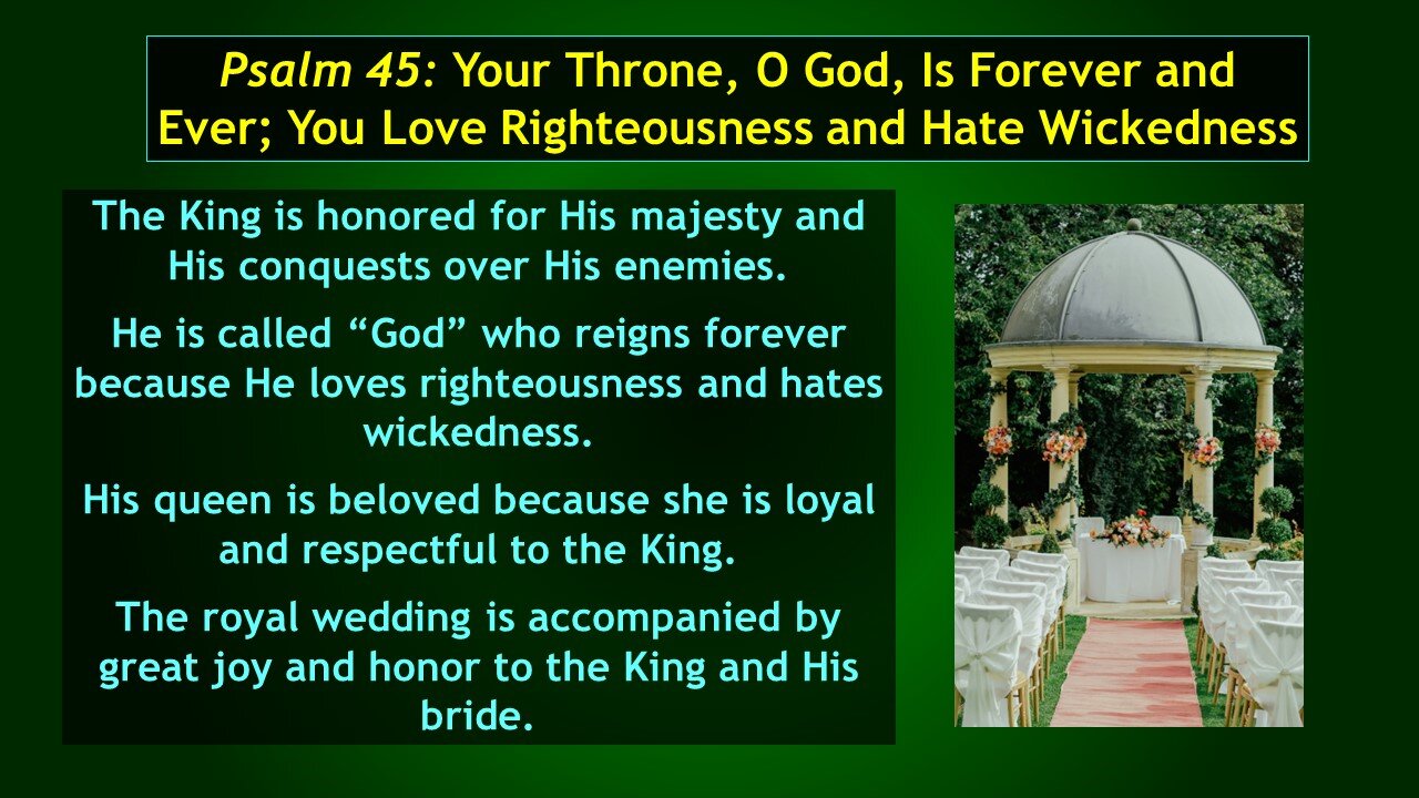 Video Bible Study: The Book of Psalms - #027