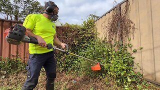 Someone Made A Mess of This Yard - I'm Going to Clean It up For Free