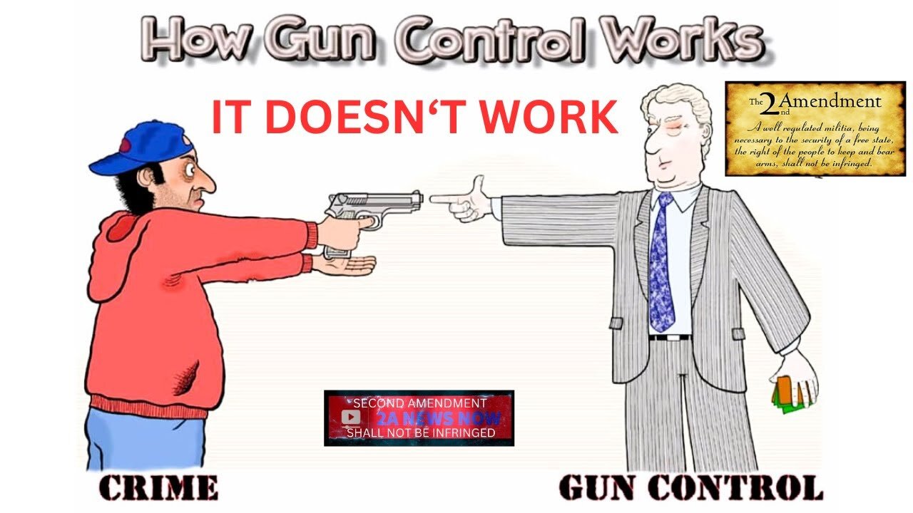 Another Video Against Gun Control (Old Video, Minarchist)