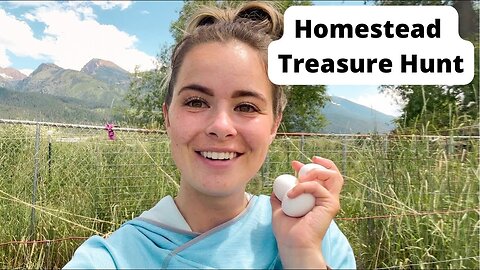 Backyard Egg Hunt | Homesteading