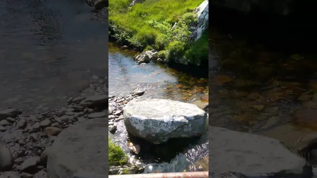 Allt Leachdach Scotland