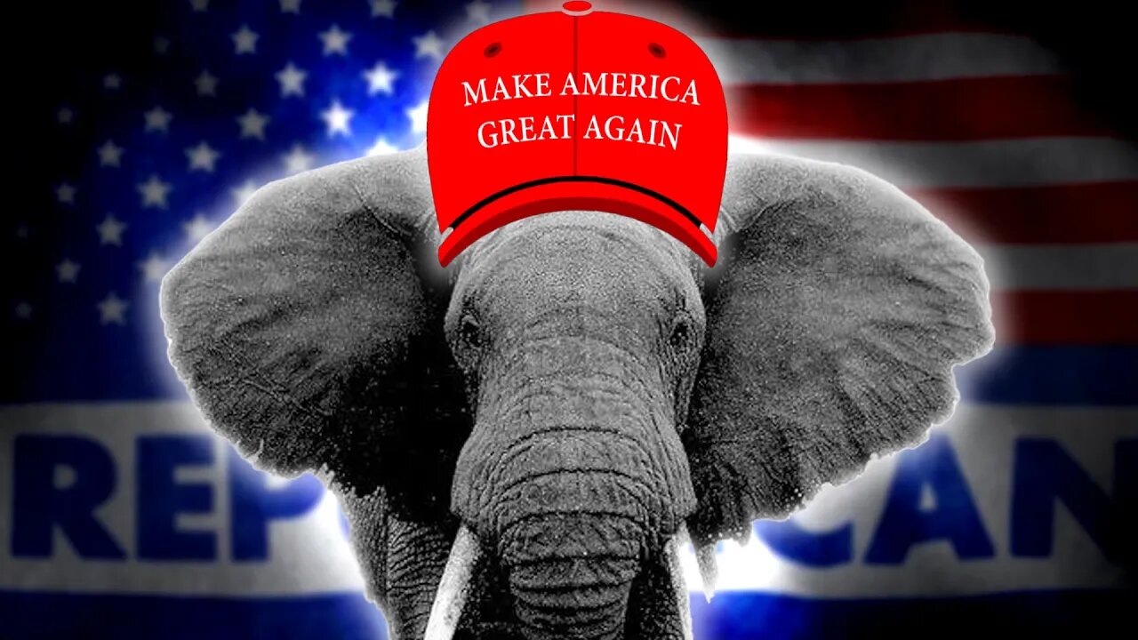 Where is the Republican Red Wave?!