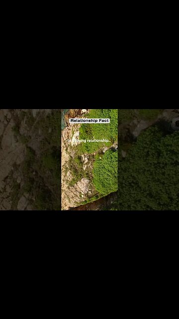 In a loving relationship #shorts #facts #relationshipfacts