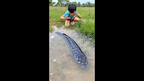 Survival Skills_ SIMPLE and USEFUL with big fish #bushcraft #camping #outdoors #shorts #reels #viral