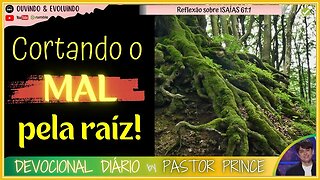 DEUS CORTA TODOS OS MALES PELA RAIZ! | Pastor Joseph Prince - Devocional | EVANGELHO DA GRAÇA