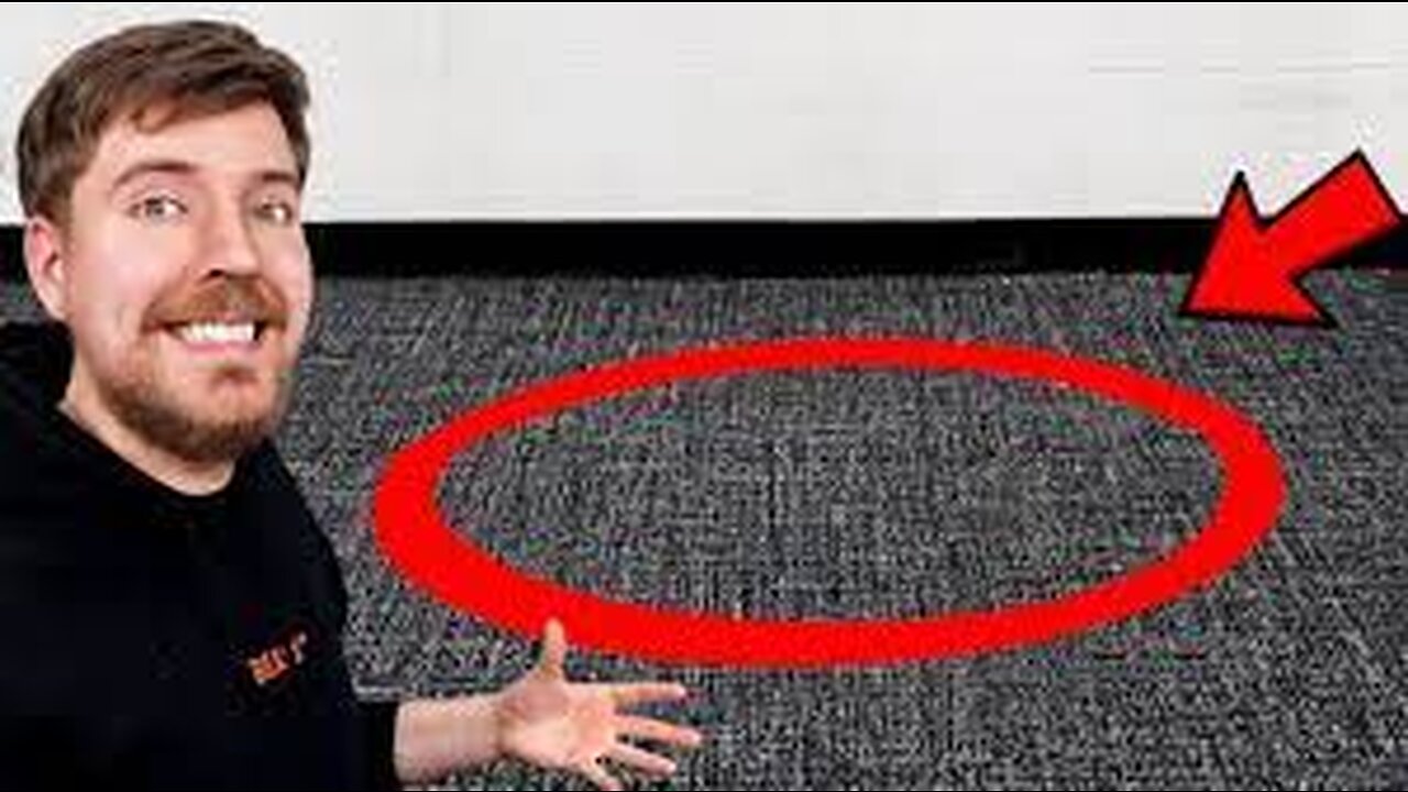 Mr Beast: Anything You Can Fit In The Circle I’ll Pay For
