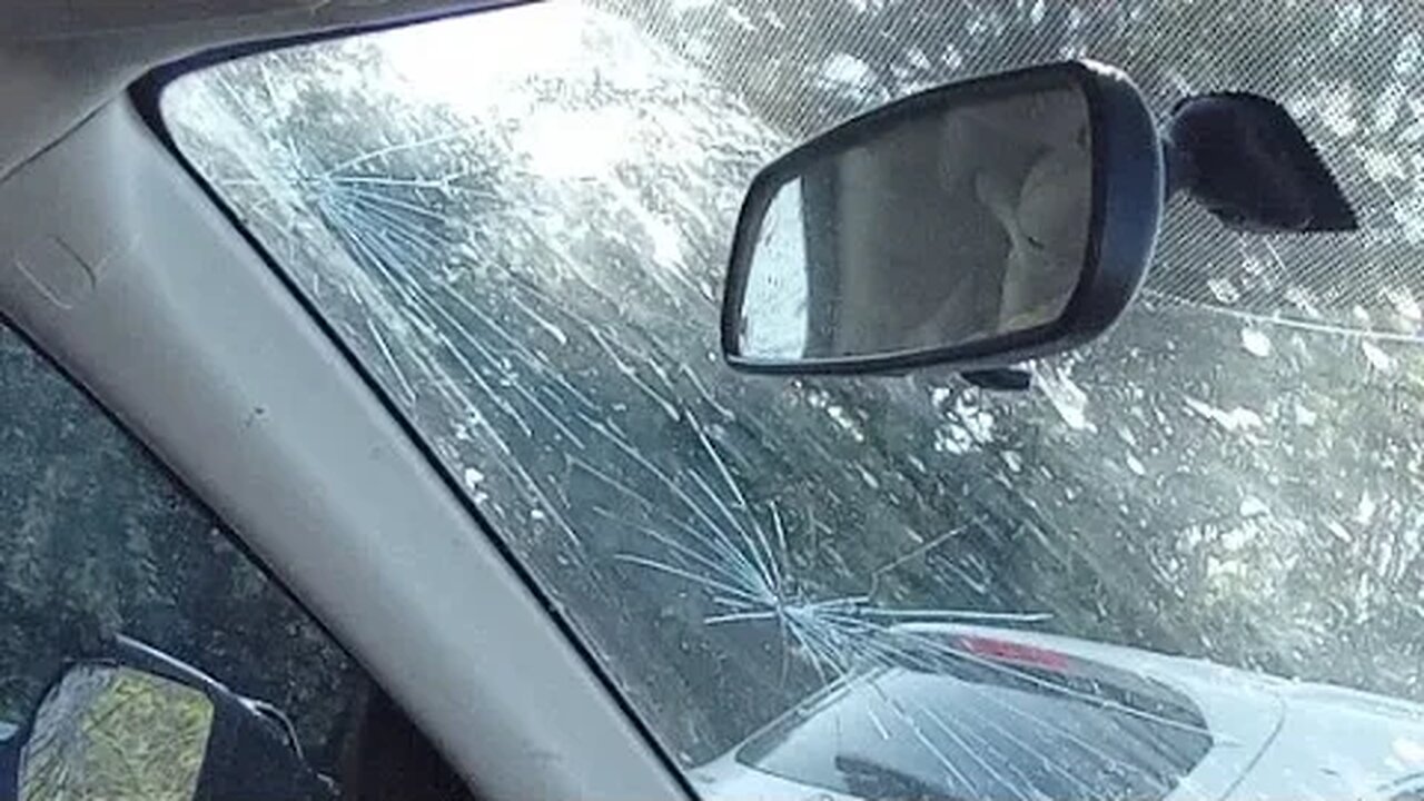 Part 2 Jaime Sol Black discussions.