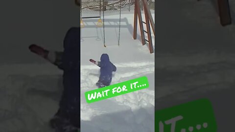 Funniest moment I’ve caught in my phone