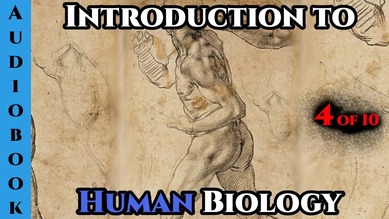 Introduction to human biology Pt.4 of 10 | Humans are Space Orcs | HFY |