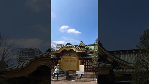 The Japan No One Knows. Ueno Toshogu Shrine #shorts