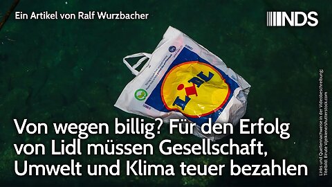Von wegen billig? Für den Erfolg von Lidl müssen Gesellschaft, Umwelt und Klima teuer bezahlen | NDS