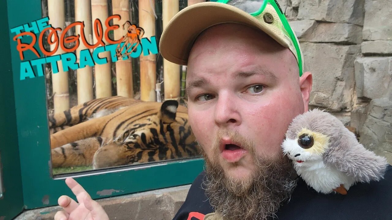 First Time At Busch Gardens Tampa Bay | Tigers And Coasters...Oh My