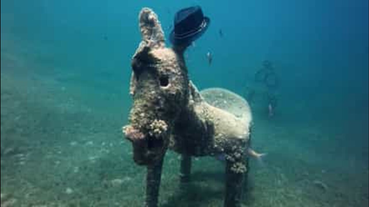 A statue of a donkey discovered at the bottom of the Red Sea