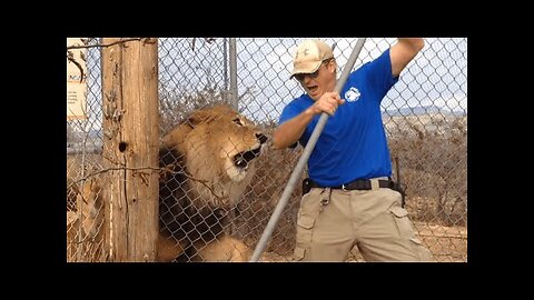 🔴Damn Nature You Scary | Funny Scary Animal Encounters